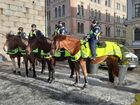 Tiedostonimi=Helsingin_ratsupoliiseja.jpg
Tiedostokoko=441kt
Koko=1024x768
Lisätty=03.02.2024 19.00 Helsingin_ratsupoliiseja.jpg