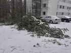 Tiedostonimi=Liisa-Myrsky_19_11_2020_1.jpg
Tiedostokoko=381kt
Koko=1024x768
Lisätty=30.11.2020 19.17 Liisa-Myrsky_19_11_2020_1.jpg