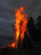 Kokko2015.jpg