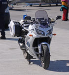 1305-PLP958-1.jpg