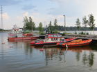 IMG_8660.JPG
