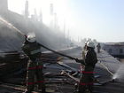 Tiedostonimi=P1010067.JPG
Tiedostokoko=887kt
Koko=1600x1200
Lisätty=29.08.2011 16.43 P1010067.JPG